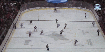 Arizona Coyotes Goalie Goal GIF