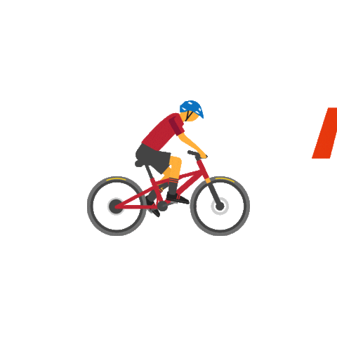 maxxis cycle