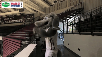 southern illinois siu GIF by Missouri Valley Conference