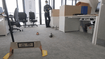 Animated GIF