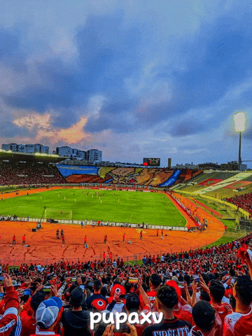 Morocco Wydad GIF