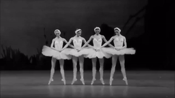The Swan Lake Ballet GIF