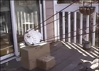 source.gif