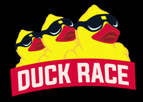 Peoria Il Ducks GIF by Center for Prevention of Abuse