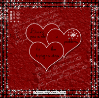 Love Of My Life Maldives Sticker For Ios Android Giphy Love Of My Life Maldives Sticker For Ios Android Giphy