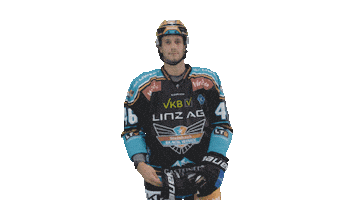 Austria Oberösterreich Sticker by Black Wings Linz