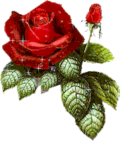 Parzival, para siempre en nuestros corazones. 200.gif?cid=7d74ad2eezuuq29hpkx4zexofejgd1jgaz79sp6vew9h3gx0&rid=200