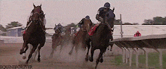 Horse Racing GIF