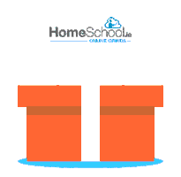 homeschool_ie Sticker