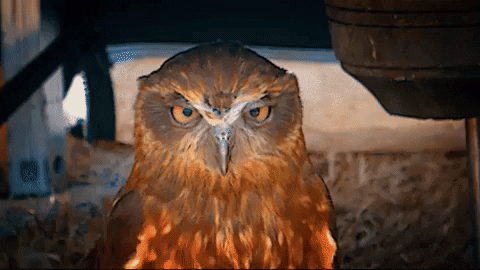 Evil Eye Reaction GIF by MOODMAN - Find & Share on GIPHY