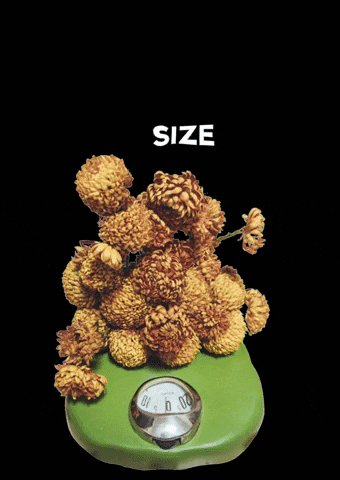 Botany-Green flowers bloom weight scale GIF