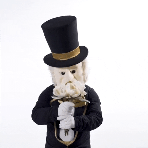 Wake Forest Wfu GIF by Wake Forest University