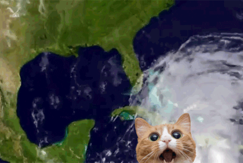 Hurricane Irma