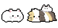 Guinea Pig ごはん Sticker