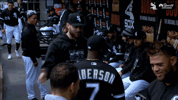 high five white sox GIF by NBC Sports Chicago