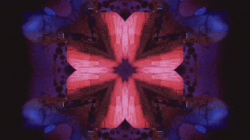 Merge Records Kaleidoscope GIF by Spider Bags