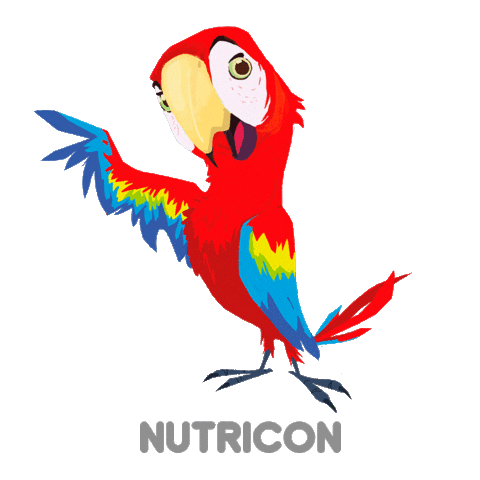 Bird Arara Sticker by Nutricon