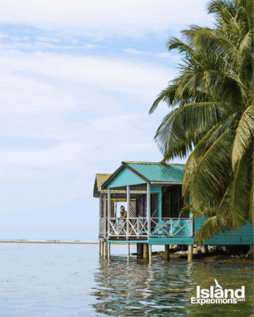 Belize Tobacco Caye GIF by Island Expeditions