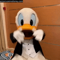 Donald Duck Gala GIF by Amo Cruzeiro Disney