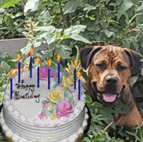 GIF by Revolution Me Films