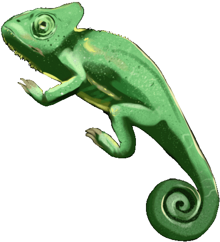 Lizard Sticker