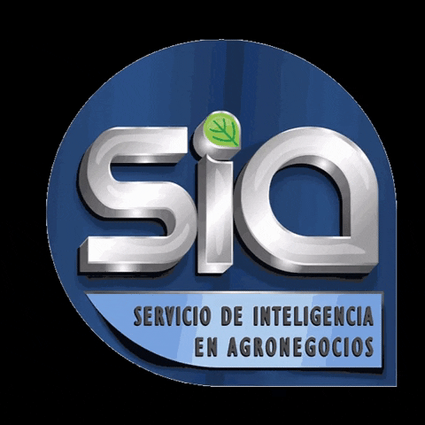 SIA BRASIL GIF