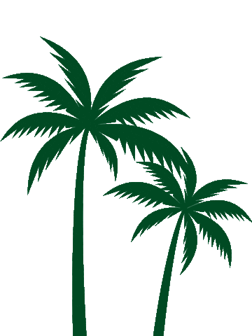 Aguadecoco Sticker by NATURAL BRASIL