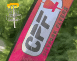 cityparkflyers flyers disc golf discgolf cpf GIF