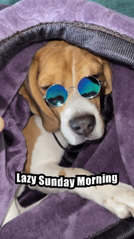 Lazy Sunday GIF by Rashmi Chadha - Find & Share on GIPHY