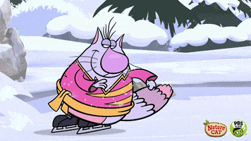 ice skating wow GIF by PBS KIDS