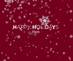 happy holidays GIF by The University of Chicago