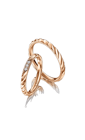 Ring Meister Sticker