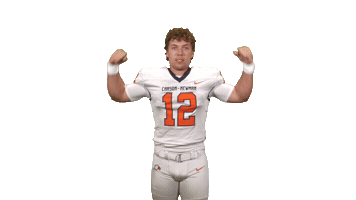 Cnfb26 Sticker by Carson-Newman Athletics