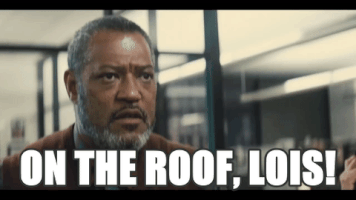 ontherooflois  GIF
