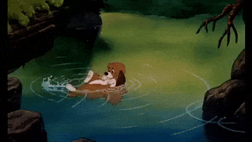 Animation GIF