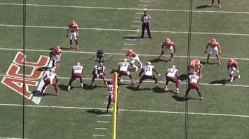 Nfl Draft GIF