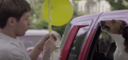 merge records dog GIF by Fucked Up