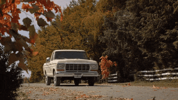 falling for you small town GIF by Hallmark Channel