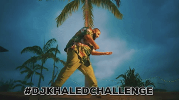 alexandrelevy-382e  GIF