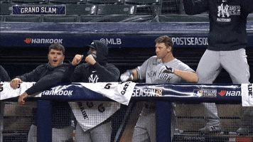 Lets Go Yankees GIF by Jomboy Media