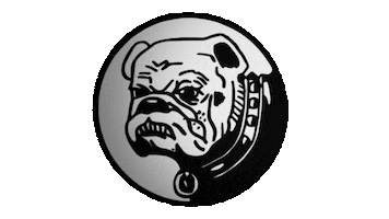 Hiphop Tonkatsu Sticker