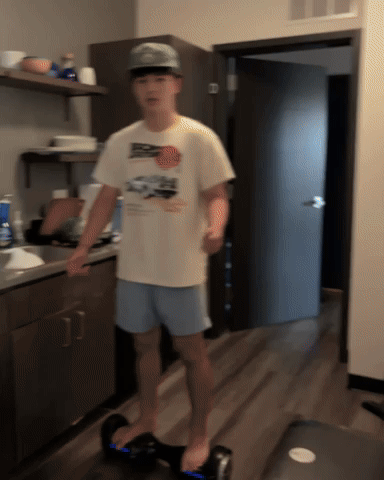 Kotabonna GIF