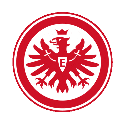 Germany Football Sticker by Bundesliga for iOS & Android