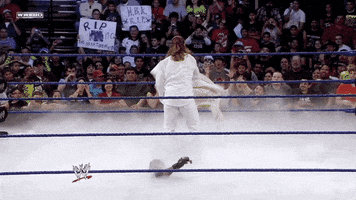 pop out shawn michaels GIF by WWE