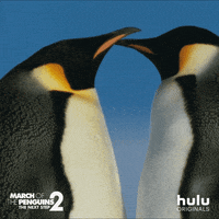 march of the penguins couple GIF by HULU