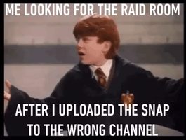 Discord #Raid #Harrypotter GIF