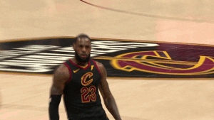 lebron james yes GIF by NBA