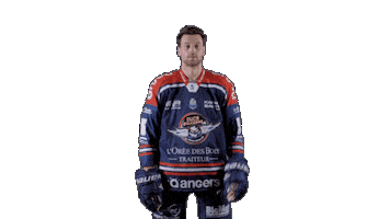 Ducs Dangers Hockey Sticker by Les Ducs d'Angers