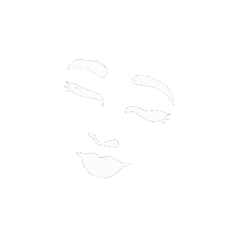 Women Sticker