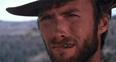 clint eastwood cat GIF